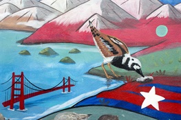 A Mural in a Guatemala Village Raises Awareness about Global Shorebird Migrations